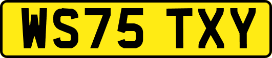 WS75TXY