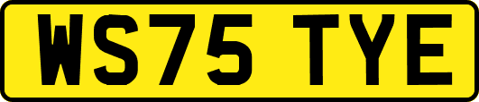 WS75TYE