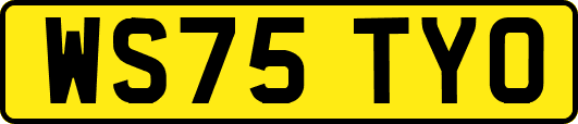 WS75TYO