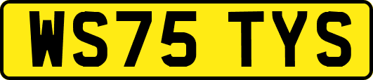 WS75TYS
