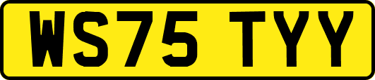 WS75TYY