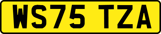 WS75TZA