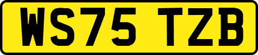 WS75TZB