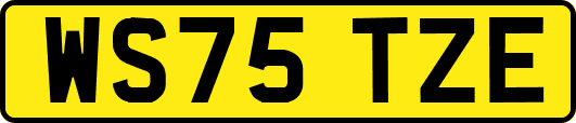 WS75TZE