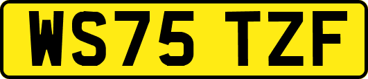 WS75TZF
