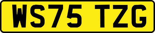 WS75TZG