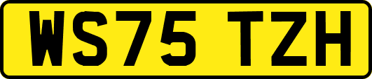 WS75TZH