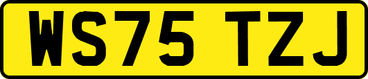 WS75TZJ
