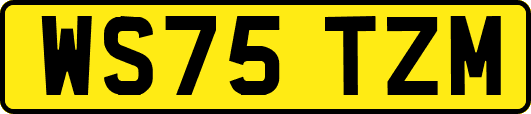 WS75TZM