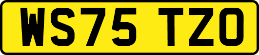 WS75TZO