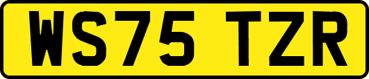 WS75TZR