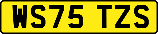 WS75TZS