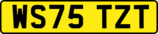 WS75TZT