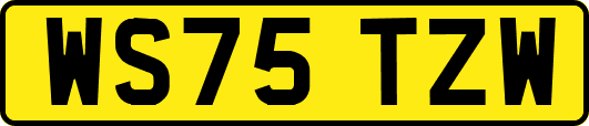 WS75TZW