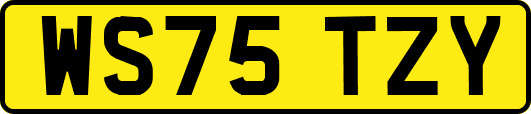 WS75TZY