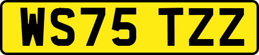 WS75TZZ