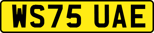 WS75UAE