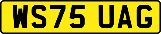 WS75UAG