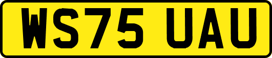 WS75UAU