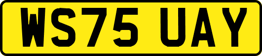 WS75UAY