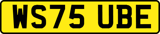 WS75UBE