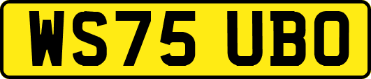 WS75UBO