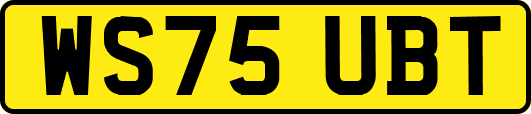 WS75UBT