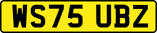 WS75UBZ