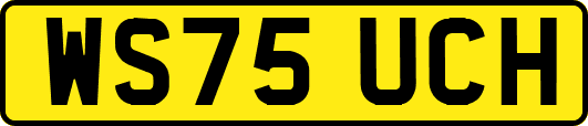 WS75UCH