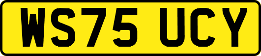 WS75UCY