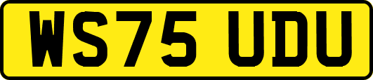 WS75UDU