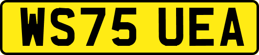 WS75UEA