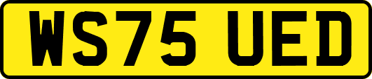 WS75UED