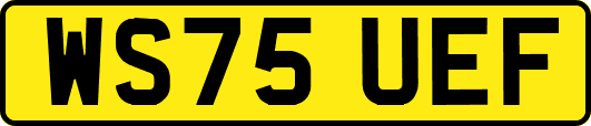 WS75UEF