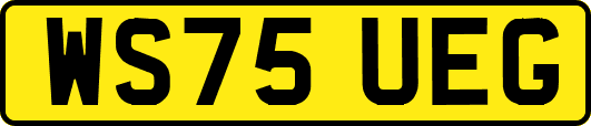 WS75UEG