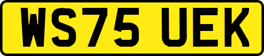 WS75UEK