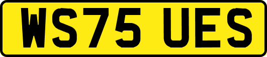 WS75UES