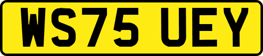 WS75UEY
