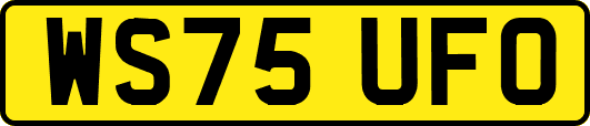 WS75UFO