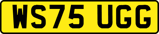 WS75UGG