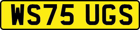 WS75UGS