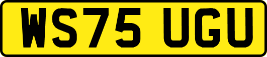 WS75UGU