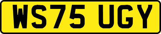 WS75UGY