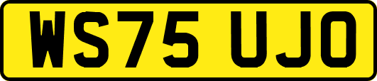 WS75UJO