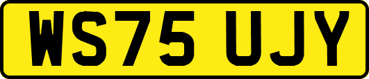 WS75UJY