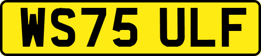 WS75ULF