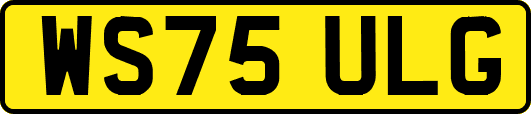 WS75ULG