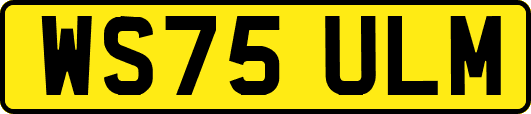 WS75ULM