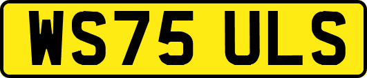 WS75ULS