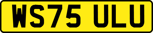 WS75ULU